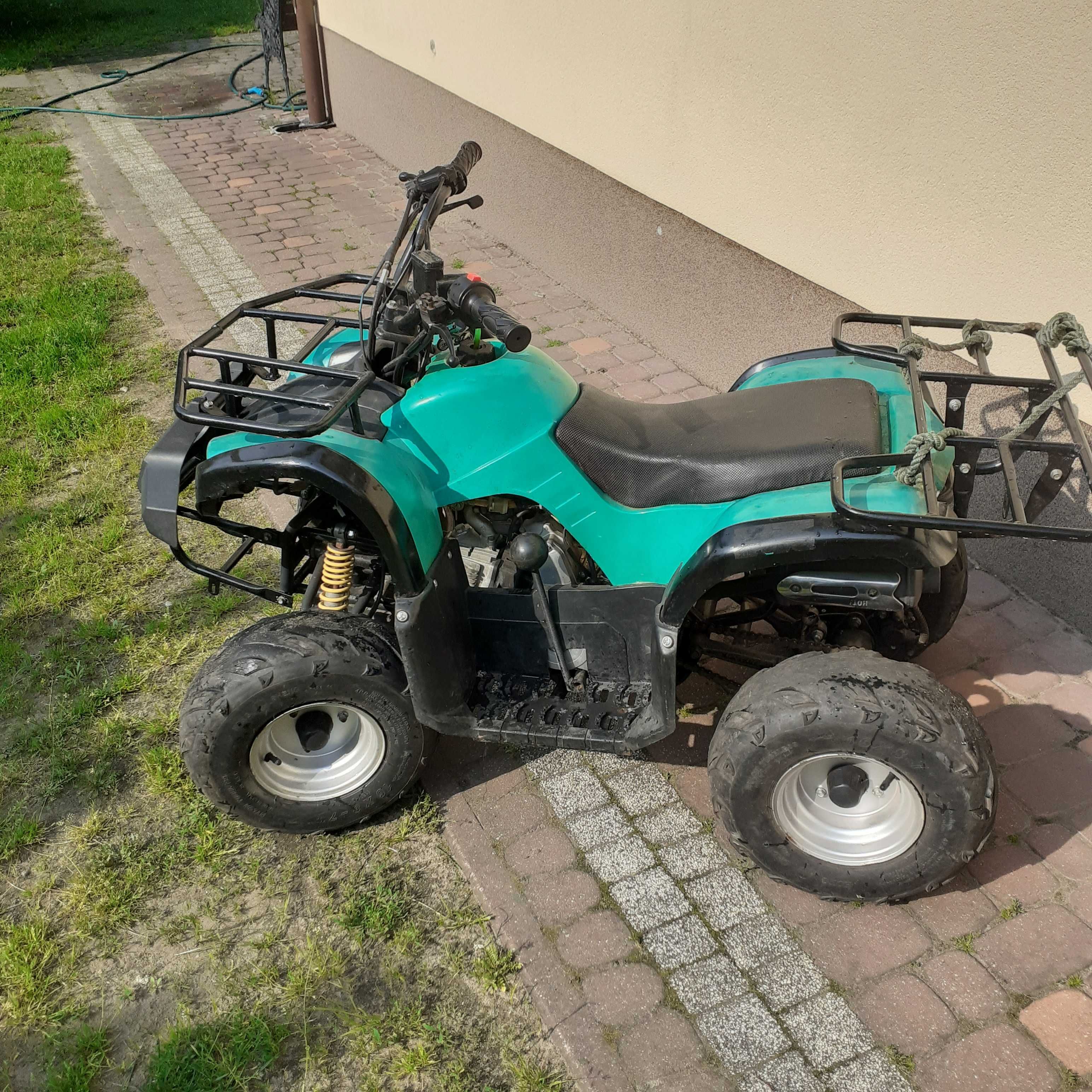 quada chińskiego sprzedam