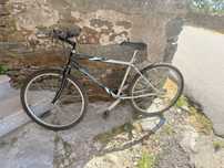 Bicicleta Speedy