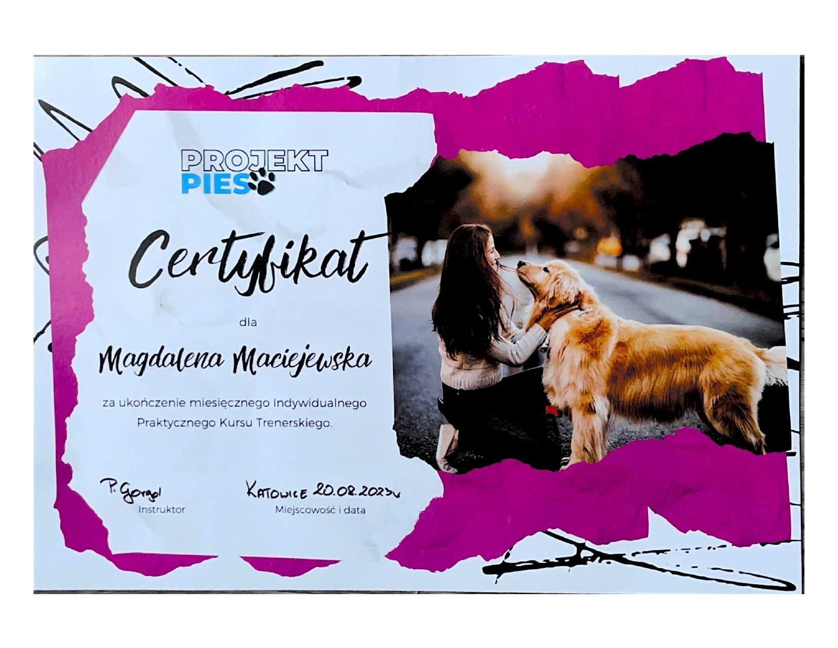 Szkolenie psów / behawiorysta / petsitter / Trener psów / Śląsk