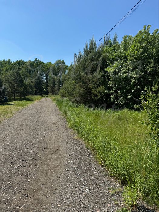 Продам Земельну Ділянку 10сотих,ЛІС,ОЗЕРО,середСОСЕН,закрита територія