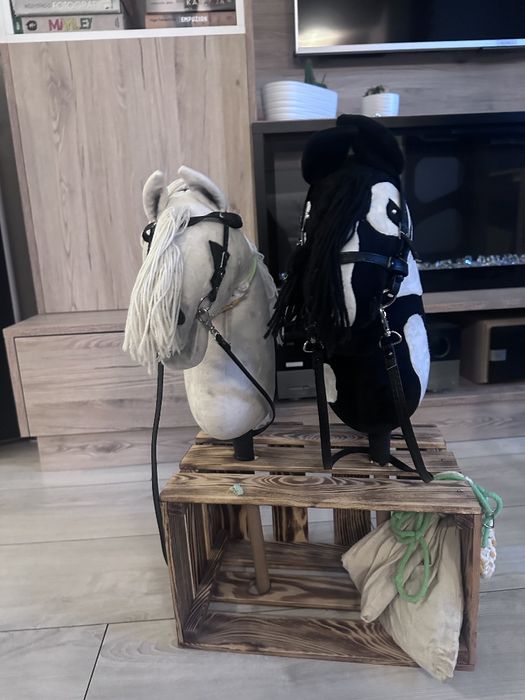 Zestaw Hobby horse
