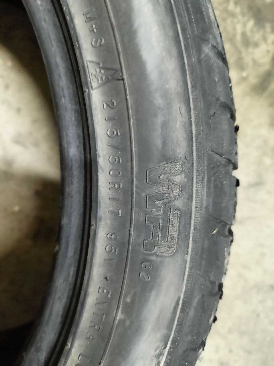 Шини Nokian WR G2 215/50 R17 95V