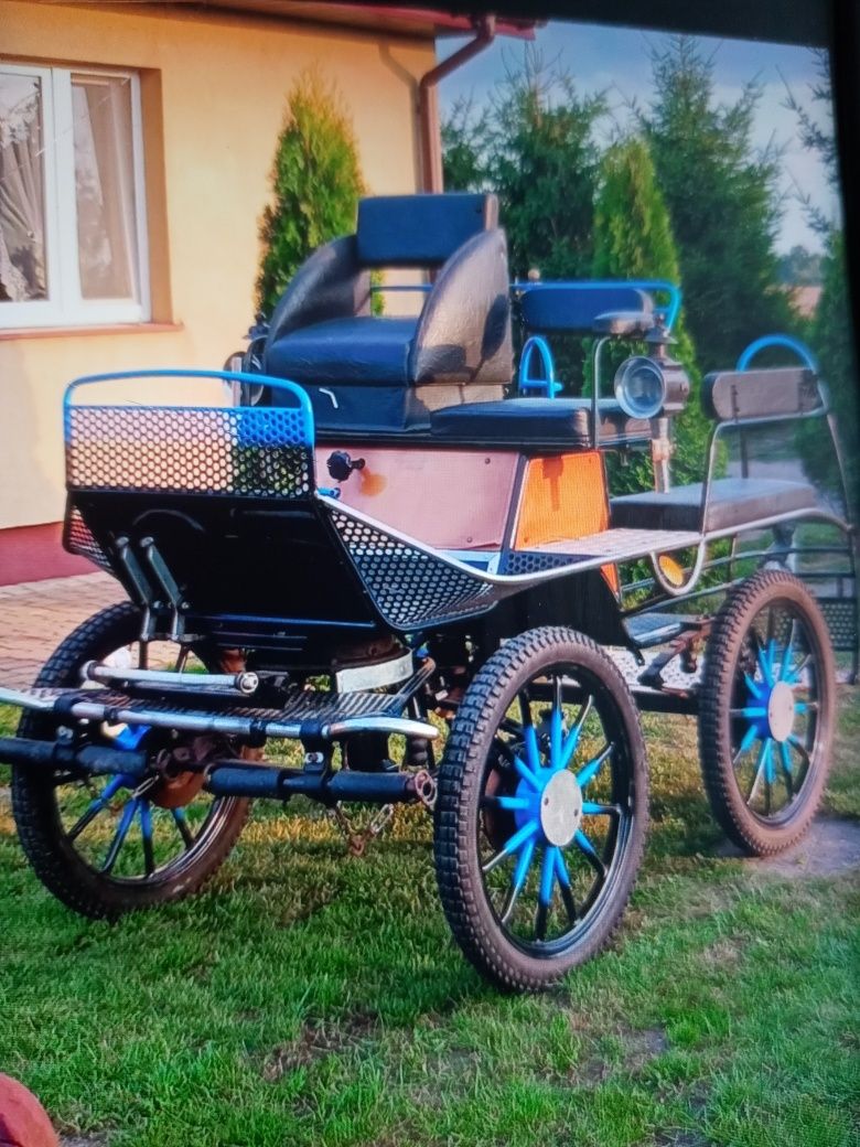 Sprzedam źrebice zimnokrwistą