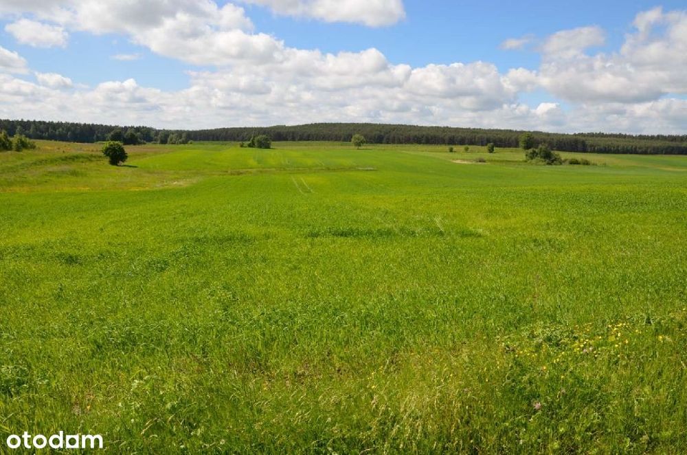 Ziemia rolna - dzierżawa