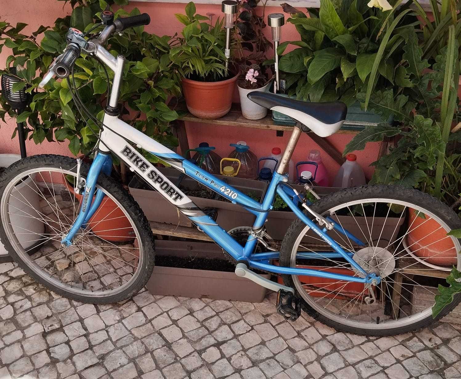 Bicicleta BTT roda 24