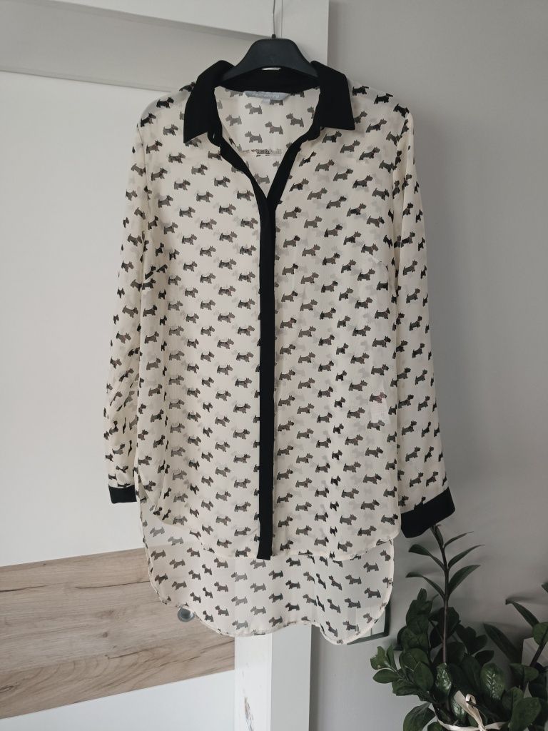 Koszula mgiełka w psy 38/40