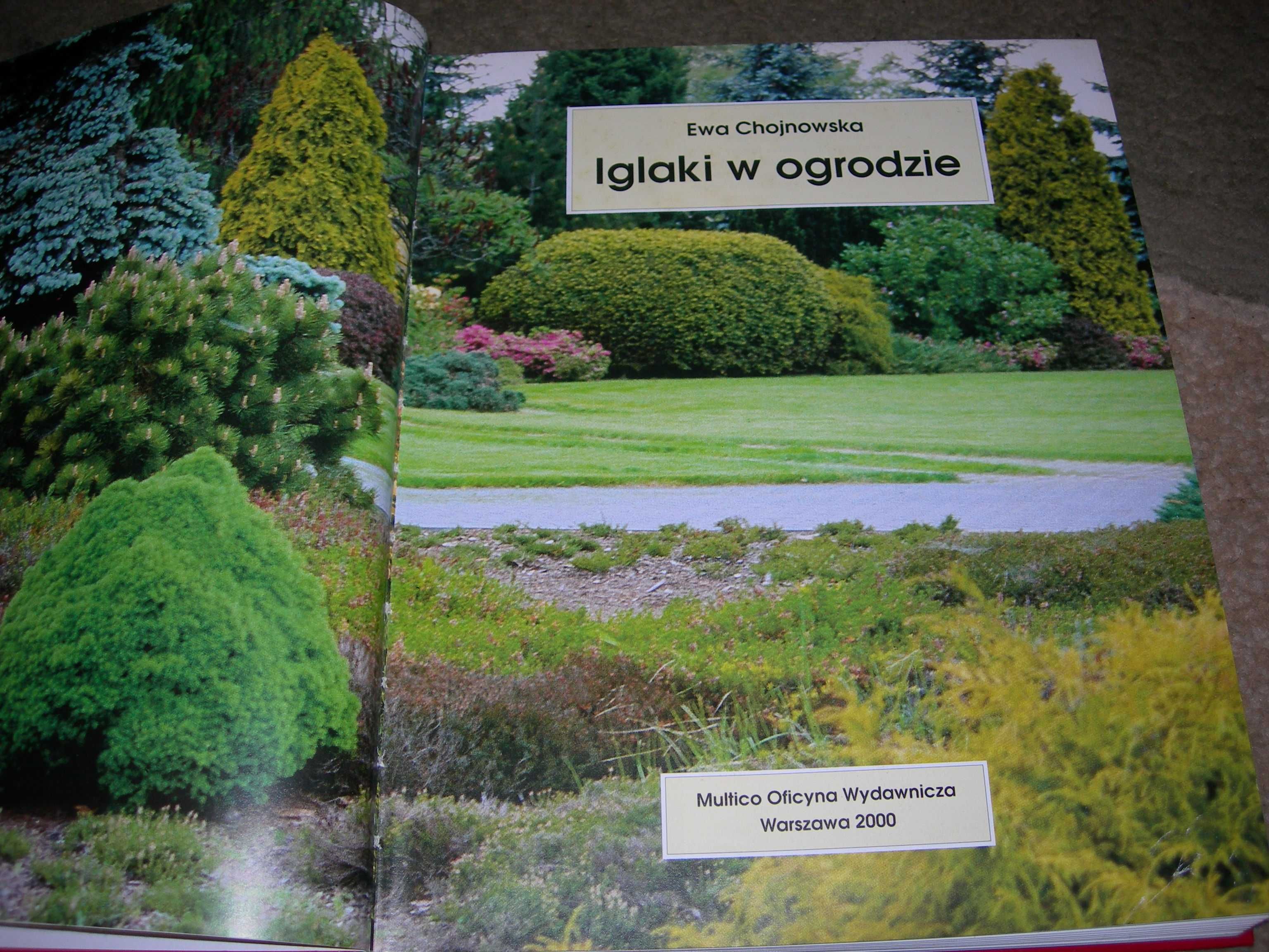 Książka, poradnik "Iglaki w ogrodzie" Ewa Chojnowska