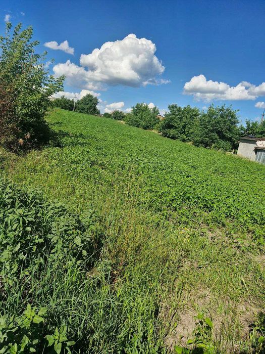 Земля Ярмолинці, 25 соток, під забудову Хмельницька обл.