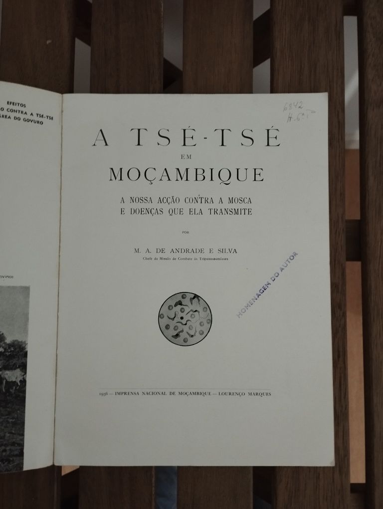 A tsé-tsé em Moçambique : a nossa acção contra a mosca e doenças