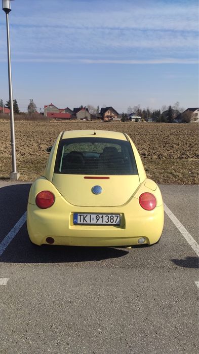 New beetle garbus 99r