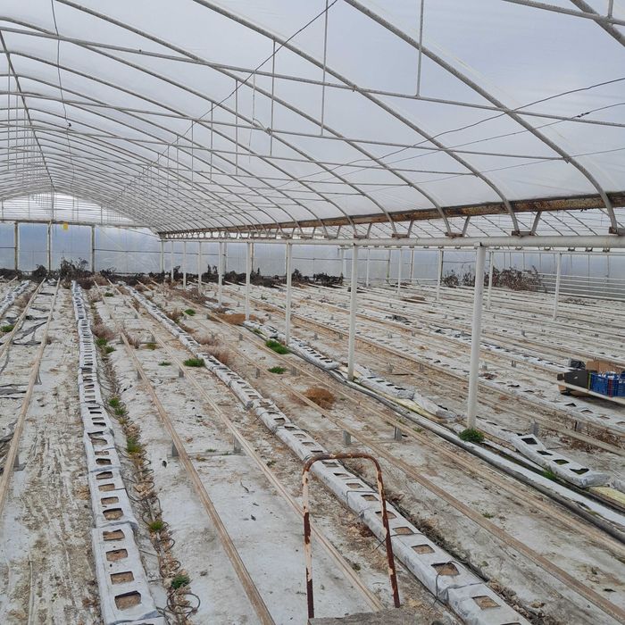 Tunel foliowy zblokowany