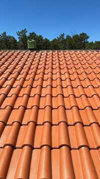 Lavagem e impermeabilização de telhado. Pintura em geral