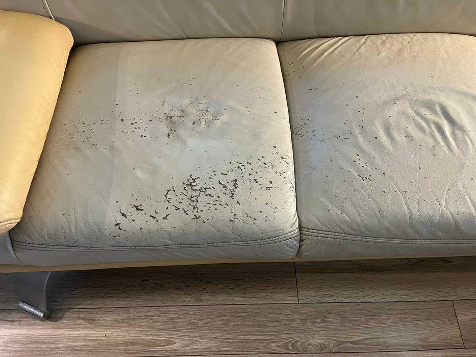 Wypoczynek skórzany 3+2, wersalka + sofa
