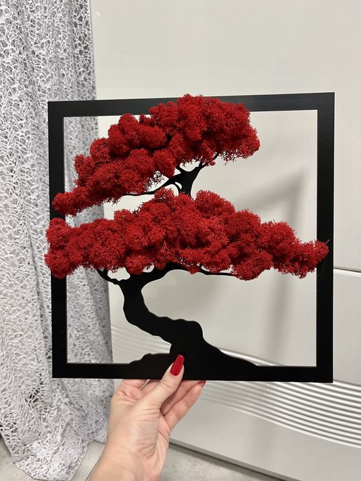 Bonsai z czerwonym chrobotkiem 30 cm mech obraz ozdoba rama