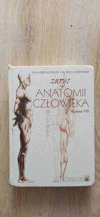 Zarys Anatomii Czlowieka