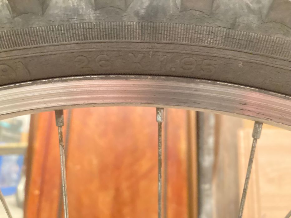 Rower młodzieżowy "Scorpio"