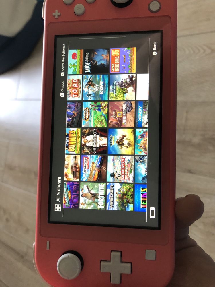 Nintendo switch lite