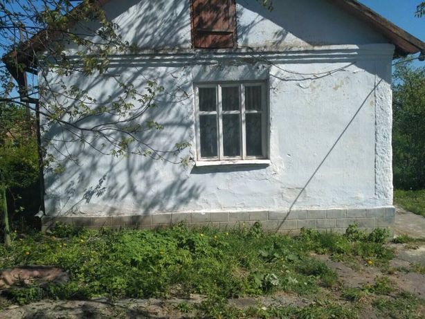 Продам приватизований будинок в селі Глинськ