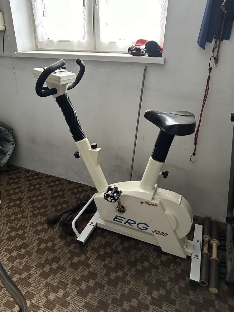 Rower stacjonarny ERG 2000