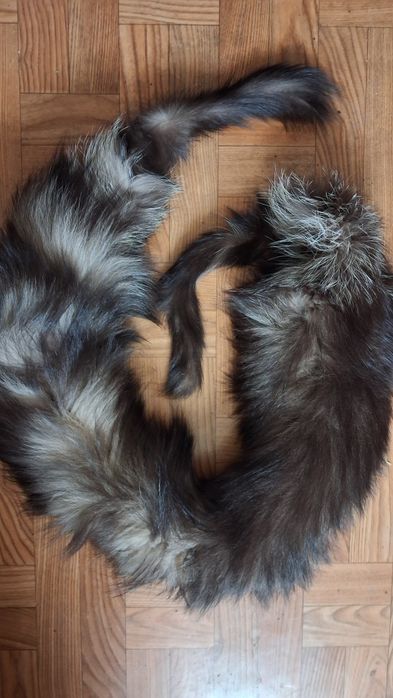 Kołnierz ozdobny z lisa.