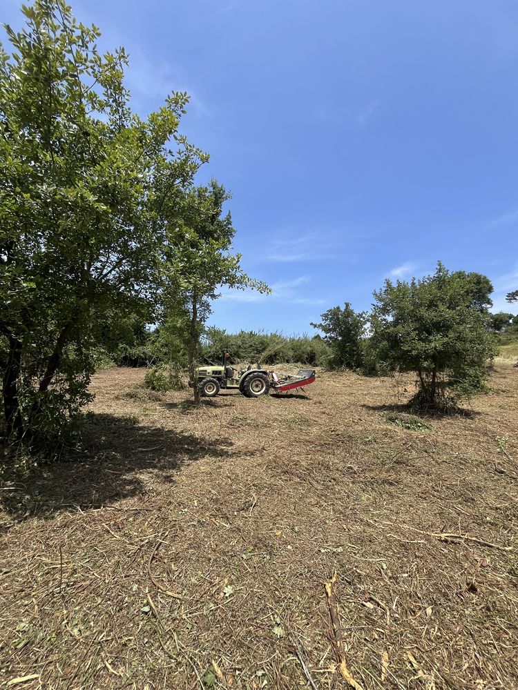 Serviços agricolas e florestais / jardins / corte de arvores