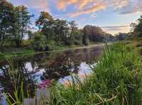 Domek na wynajem nad rzeką Wkra/ 300 zł ten weekend