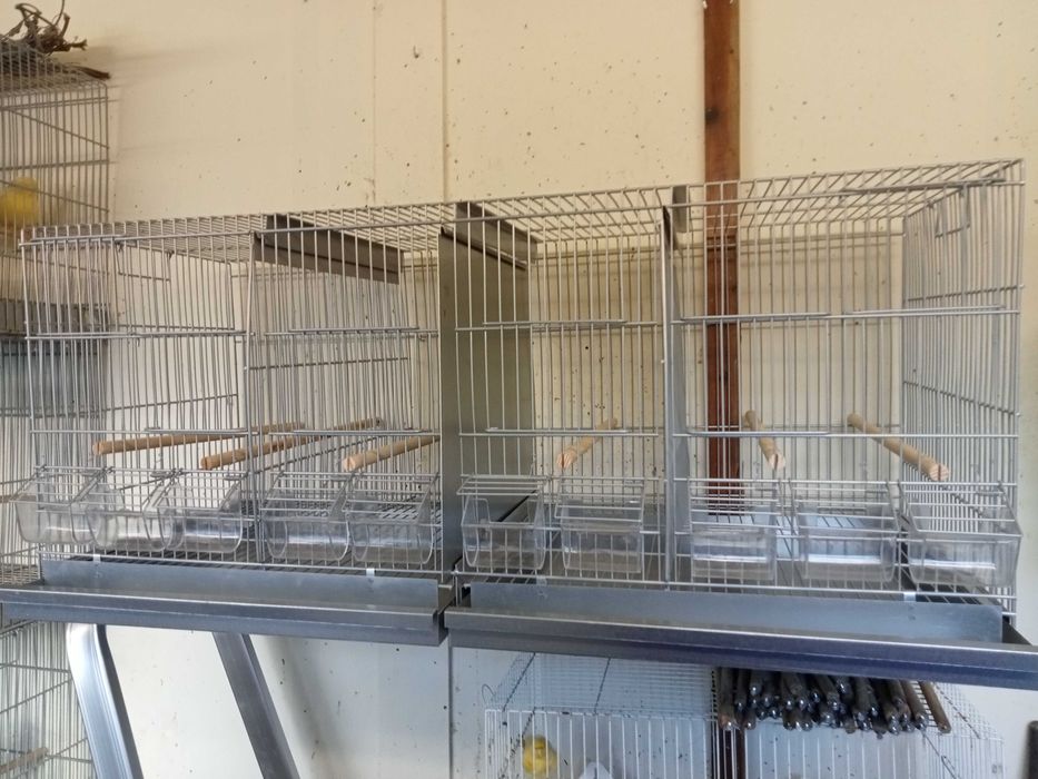 Gaiolas para canários