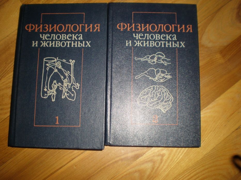 Коган А.Б., Косицкий Г.И. . «Физиология человека и животных в 2 т