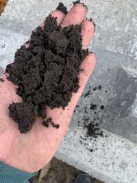 Czarnoziem ziemia ogrodowa piasek żwir beton