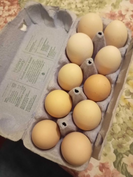 Sprzedam  kurze jajka