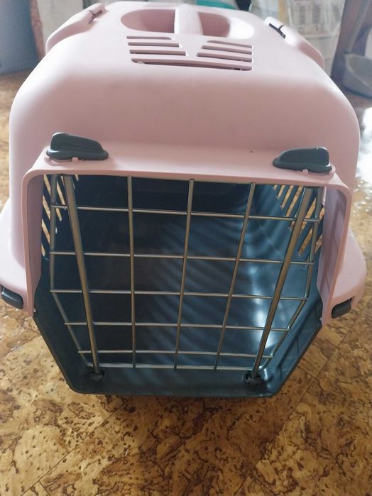 Transportadoras de gato - novas
