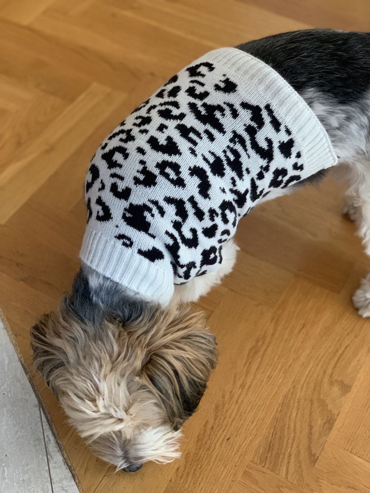 Sweterek ciepły w panterke dla psa ubranko T.kmax