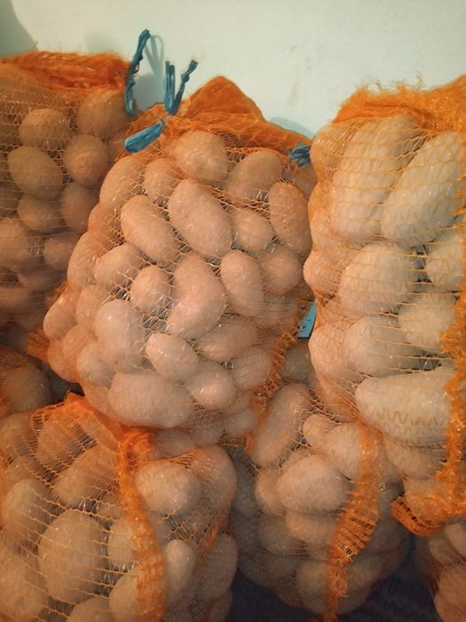 Na sprzedaż ziemniaki.