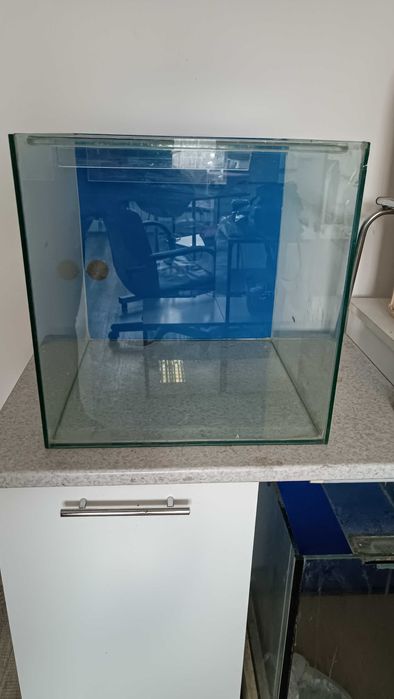 Акваріум Garra Rufa