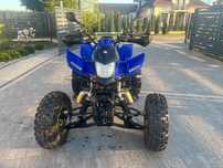 Barton Warrior 250 nie bashan