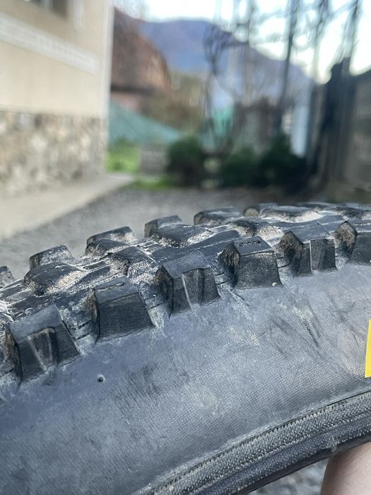 Продам покришку maxxis