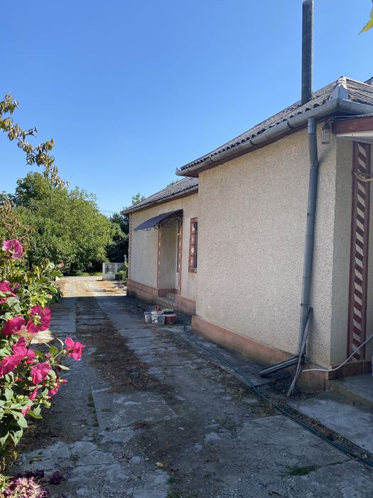 Продається будинок у с.Астей