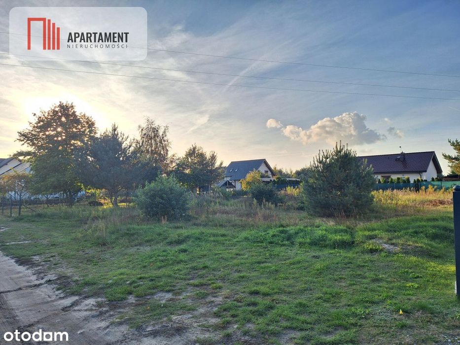 Działka Dębina spokojna okolica