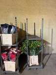 Carrinhos para Transporte de Flores – 3 Prateleiras