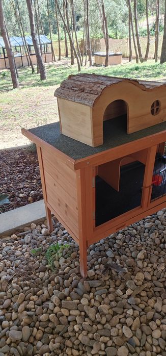 Casinha para coelhos