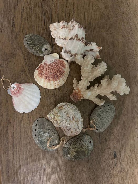 Декоративные камни и ракушки разных расцветок