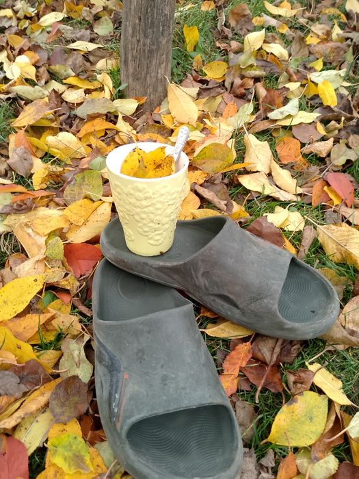 Віддам капці в добрі руки