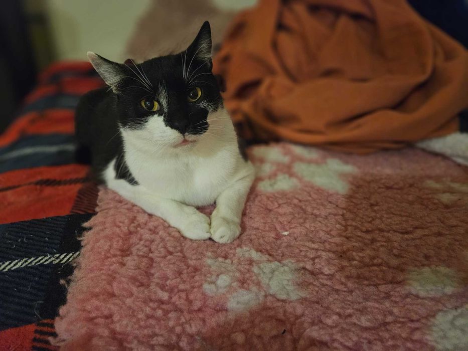 1,5 roczny Eduś  ,milusi