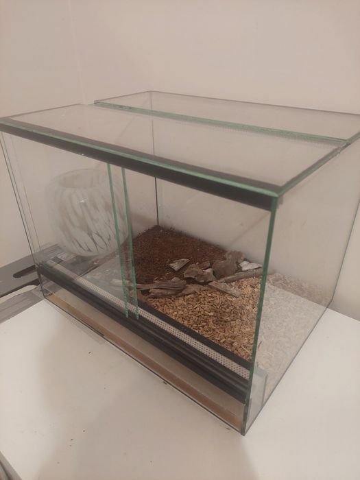 Terrarium dla gekona lamparciego