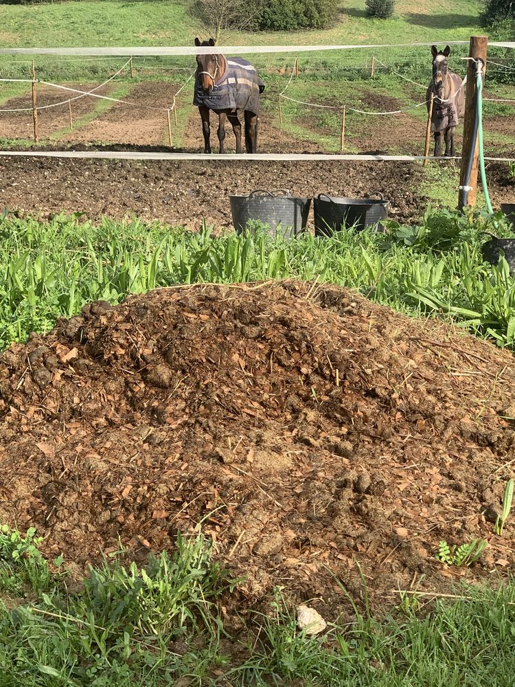 Estrume de cavalo para hortas e jardim