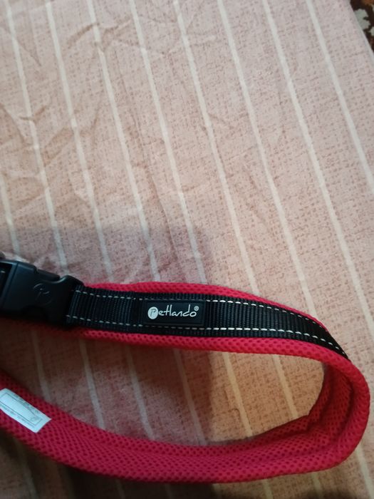 Нашийник для великої собаки