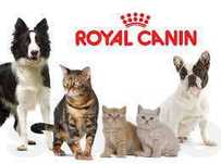 Роял Канин Royal Canin и другие корма