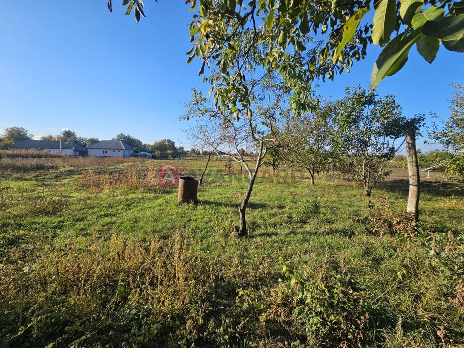 Будинок в Худяках, центр, 25 соток ділянка