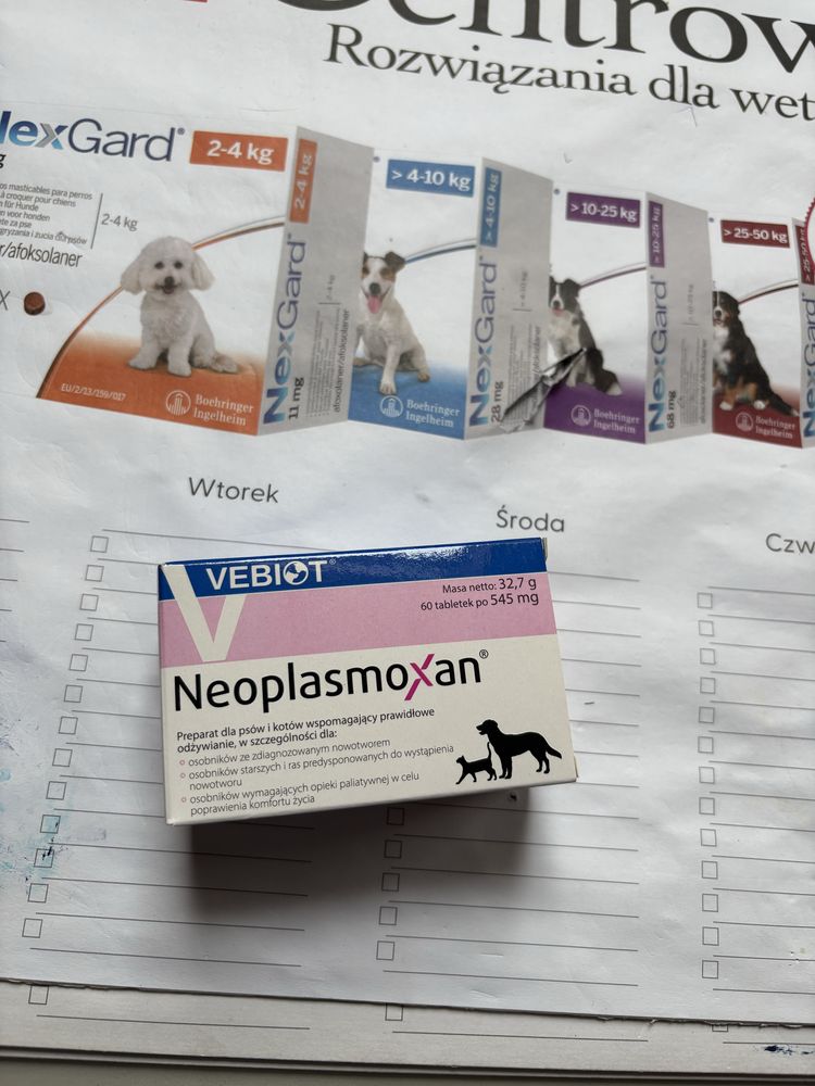 Neoplasmoxan 60 kapsułek w opakowaniu