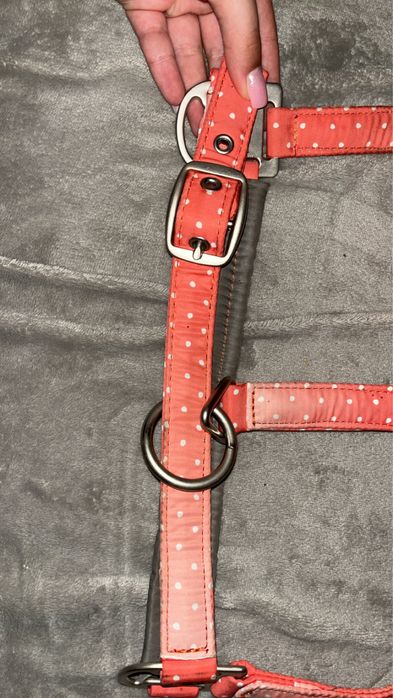 Kantar eskadron nici peachy